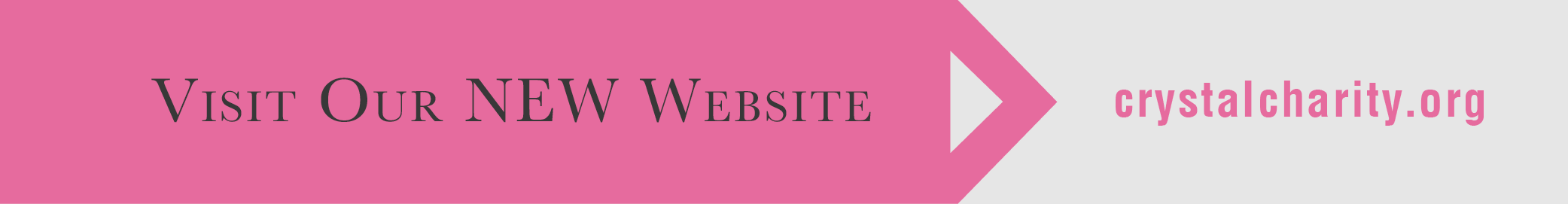 2021 Online Auction Banner